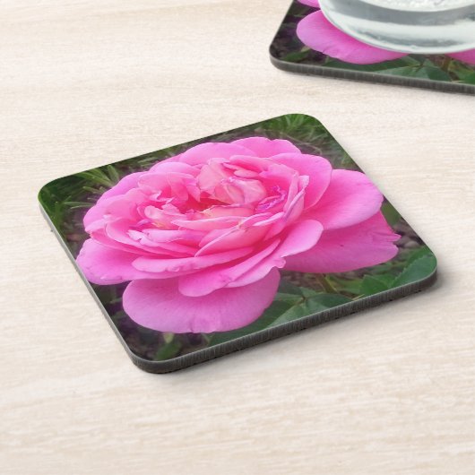 Romantische Roze Roos 'Leonardo Da Vinci' Bier Onderzetter (Linkerzijde)