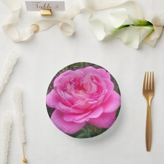 Romantische Roze Roos 'Leonardo Da Vinci'    Papieren Kommen (Huwelijk)