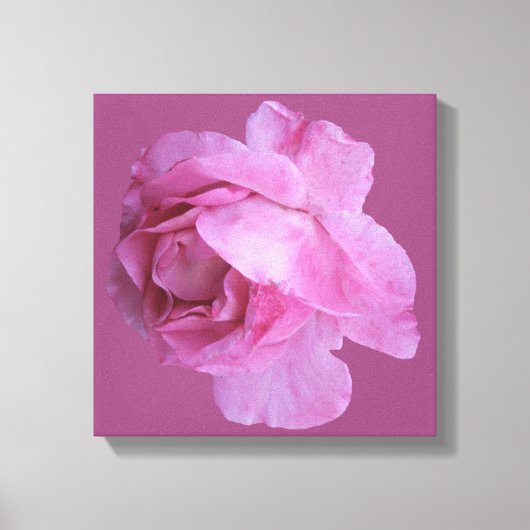 Romantische roze roos moderne bloemige boho chique canvas afdruk (Voorkant)