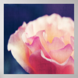 Romantische Roze Roos op Canvas Macro Abstract Poster