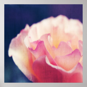 Romantische Roze Roos op Canvas Macro Abstract Poster