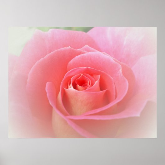 Romantische roze roze druk poster (Voorkant)