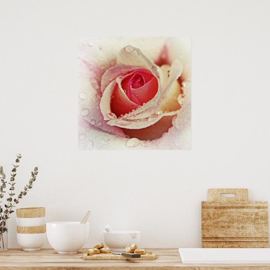 Romantische roze roze roze met regendruppelmacro poster (Keuken)