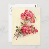 Romantische  roze rozen briefkaart (Voorkant / Achterkant)