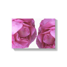 Romantische  roze rozen eenvoudige moderne bloemen