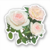 Romantische roze rozen roze bloemenbaby meisje dou sticker (Voorkant)