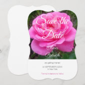 Romantische roze rozen trouw save the date  kaart (Voorkant / Achterkant)