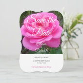 Romantische roze rozen trouw save the date  kaart (Staand voorkant)