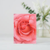 Romantische Roze Rozenwaterdruppels Briefkaart (Staand voorkant)