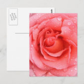 Romantische roze rozenwaterdruppels briefkaart (Voorkant / Achterkant)