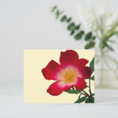 Romantische Roze Wilde Roos Briefkaart (Staand voorkant)