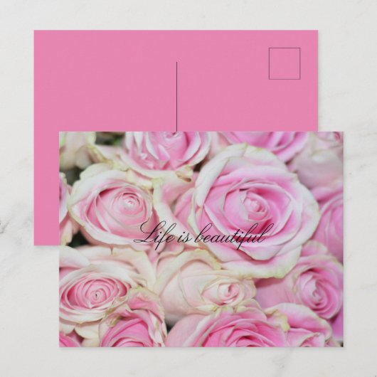 Romantische Roze Witte Rozen Briefkaart (Voorkant / Achterkant)