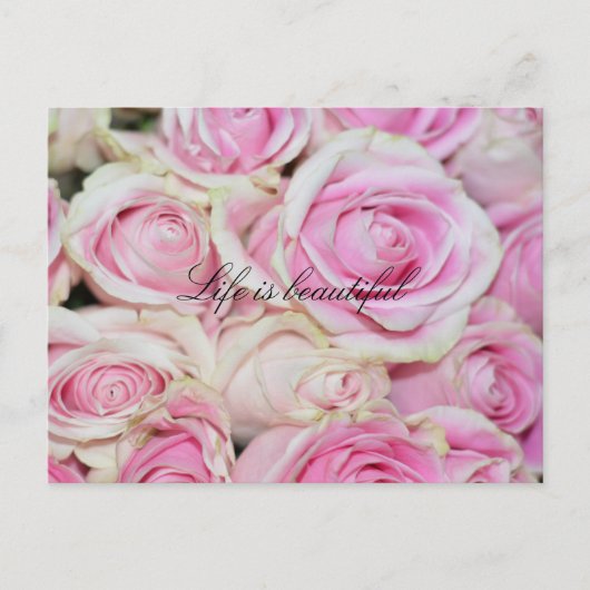 Romantische Roze Witte Rozen Briefkaart (Voorkant)