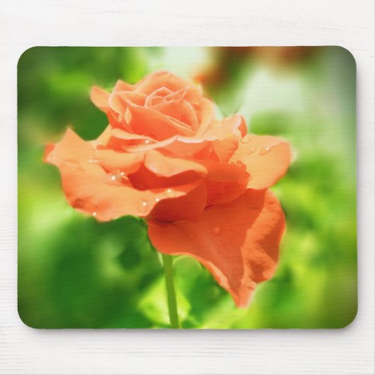 Romantische rozen bloemen #2 muismat (Voorkant)