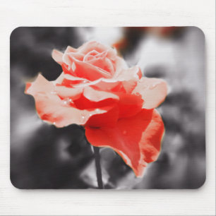Romantische rozen bloemen #3 muismat
