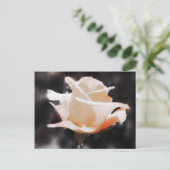 Romantische Rozen bloemen Briefkaart (Staand voorkant)