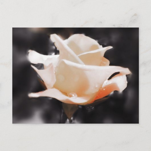 Romantische Rozen bloemen Briefkaart (Voorkant)