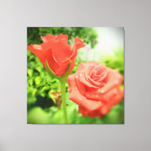 Romantische Rozen bloemen Canvas Afdruk