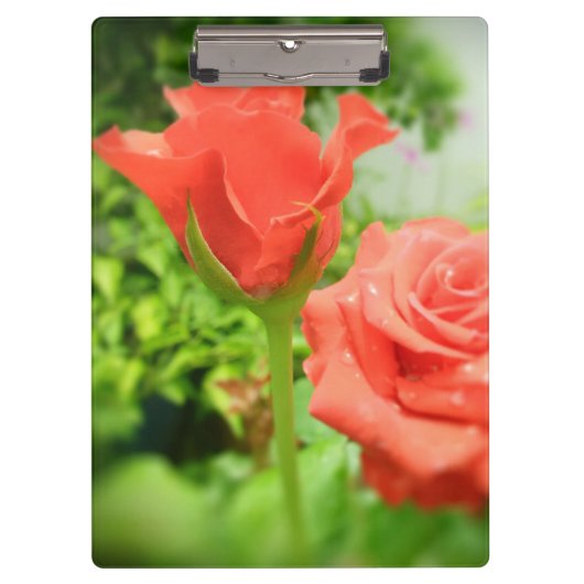 Romantische Rozen bloemen Klembord (Voorkant)