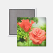 Romantische Rozen Bloemen Magneet (Voorkant / Achterkant)