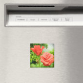Romantische Rozen Bloemen Magneet (Insitu (Vaatwasser))