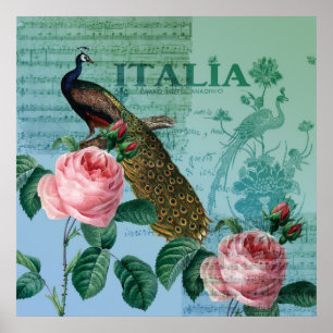 Romantische Rozen Musical Peacock Poster