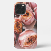 Romantische rozen Rustiek fotografiekunstwerk iPhone Hoesje (Achterkant)