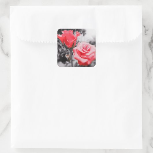 Romantische Rozen Vierkante Sticker (Tas)