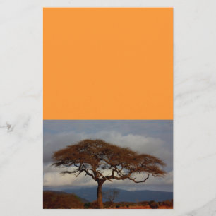 Romantische Safari Afrika Vrijgezellenfeest Custom Briefpapier