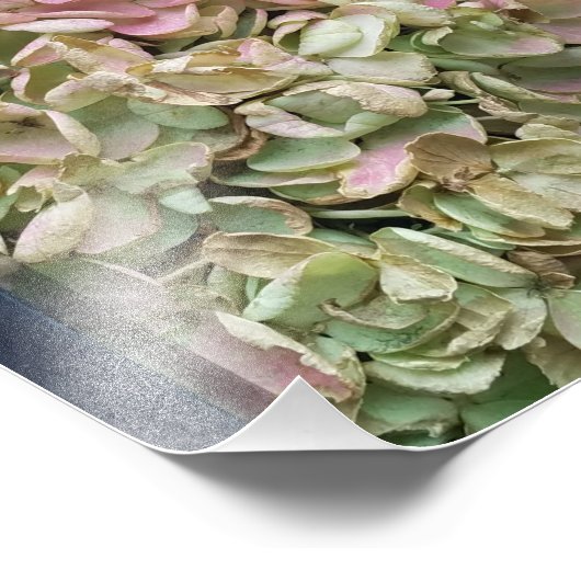 romantische tuin hydrangea foto afdruk (Hoek)