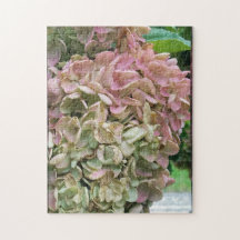 romantische tuin hydrangea