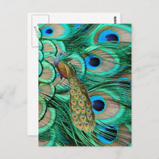 romantische  turquoise blauwgroen pauw bruiloft briefkaart (Voorkant / Achterkant)