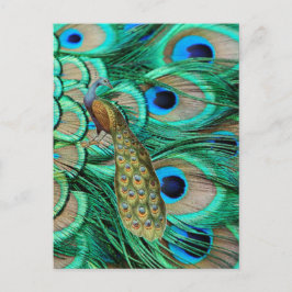 romantische turquoise blauwgroen pauw bruiloft briefkaart