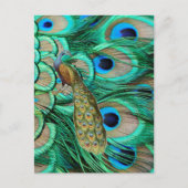 romantische  turquoise blauwgroen pauw bruiloft briefkaart (Voorkant)