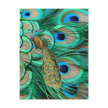 romantische  turquoise blauwgroen pauw bruiloft