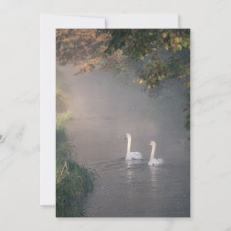 Romantische uitnodiging voor een meer bruiloft met