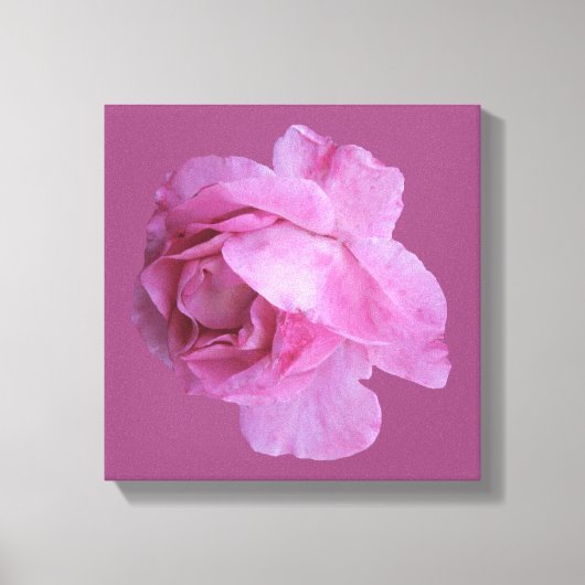 Romantische Valentijn roze roos modern bloemenboho Canvas Afdruk (Voorkant)