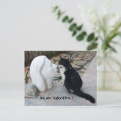 ROMANTISCHE VALENTIJNSDAG CAT FEESTDAGENKAART (Staand voorkant)