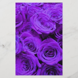 romantische violette paarse rozen ,  rozenroos bou