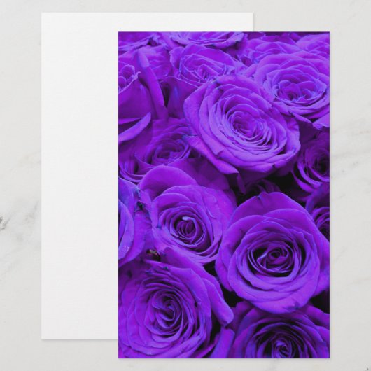 romantische violette paarse rozen ,  rozenroos bou (Voorkant / Achterkant)