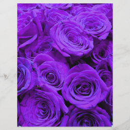 romantische violette paarse rozen ,  rozenroos bou
