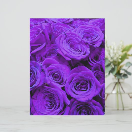 romantische violette paarse rozen ,  rozenroos bou (Staand voorkant)