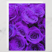 romantische violette paarse rozen ,  rozenroos bou (Voorkant / Achterkant)