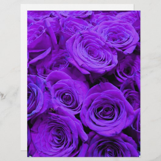 romantische violette paarse rozen ,  rozenroos bou (Voorkant / Achterkant)