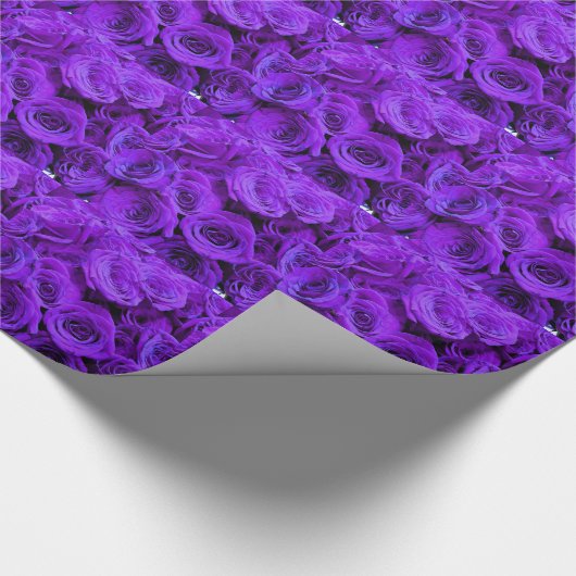 romantische violette paarse rozen ,  rozenroos bou cadeaupapier (Hoek)