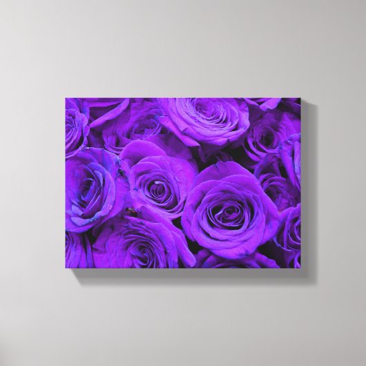 romantische violette paarse rozen ,  rozenroos bou canvas afdruk (Voorkant)
