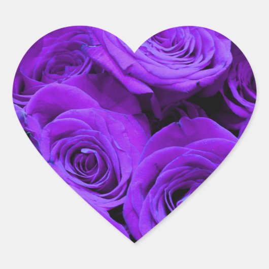 romantische violette paarse rozen ,  rozenroos bou hart sticker (Voorkant)