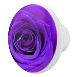 romantische violette paarse rozen ,  rozenroos bou keramische knop