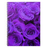 romantische violette paarse rozen ,  rozenroos bou notitieboek (Voorkant)