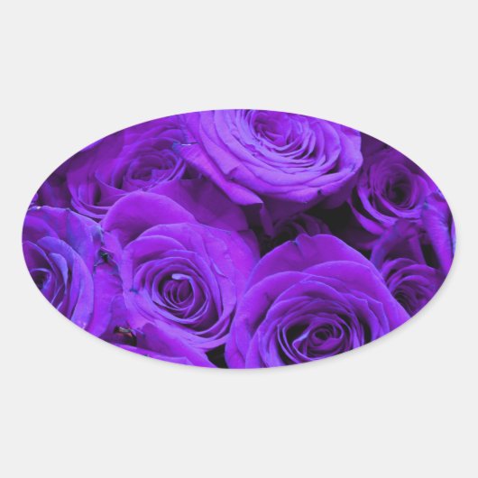 romantische violette paarse rozen , rozenroos bou ovale sticker (Voorkant)